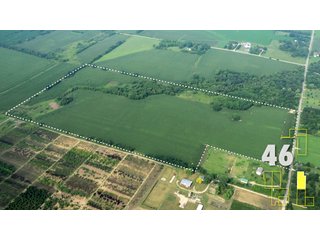 Property photo 168 - Land Auction - 3,379 Acres in 48 Tracts, 2,900 Acres Tillable, Large Contiguous Tracts - Investment Potential